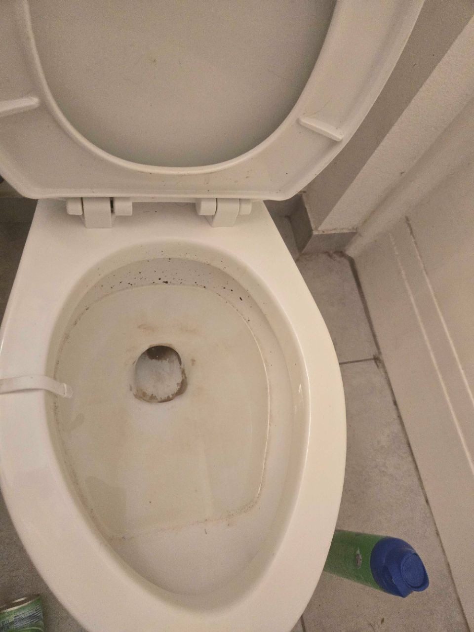 Toilet bowl with staining and mineral buildup before a deep clean